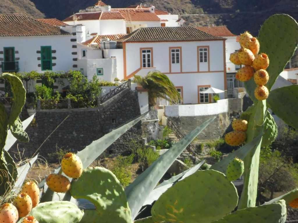 Casa Rural Las Cascaras Tejeda Gran Canaria Villa Eksteriør billede