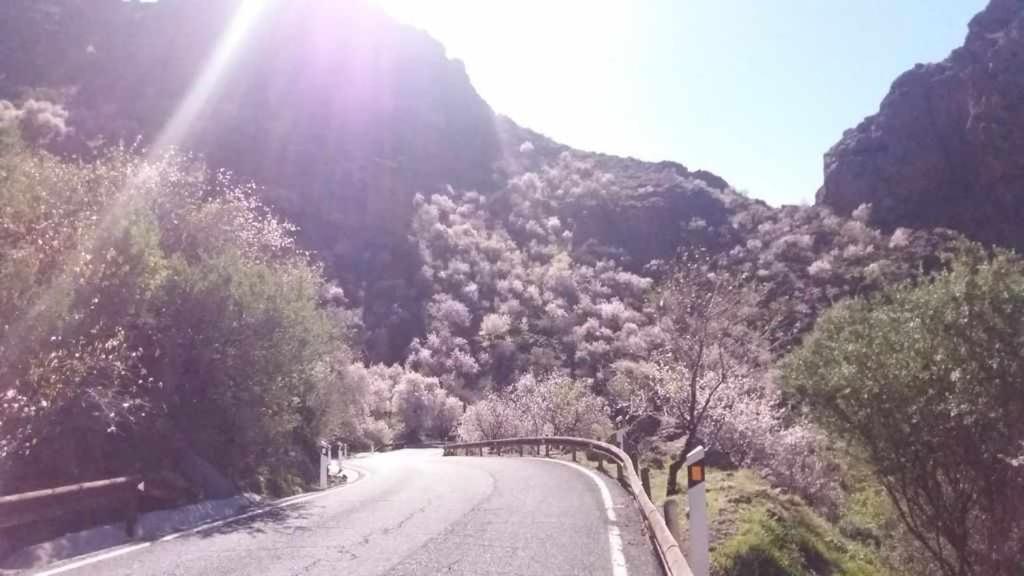 Casa Rural Las Cascaras Tejeda  Eksteriør billede